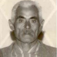 FERMINO PEDROSO DOS SANTOS