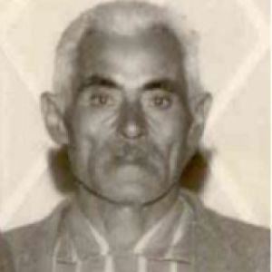 FERMINO PEDROSO DOS SANTOS